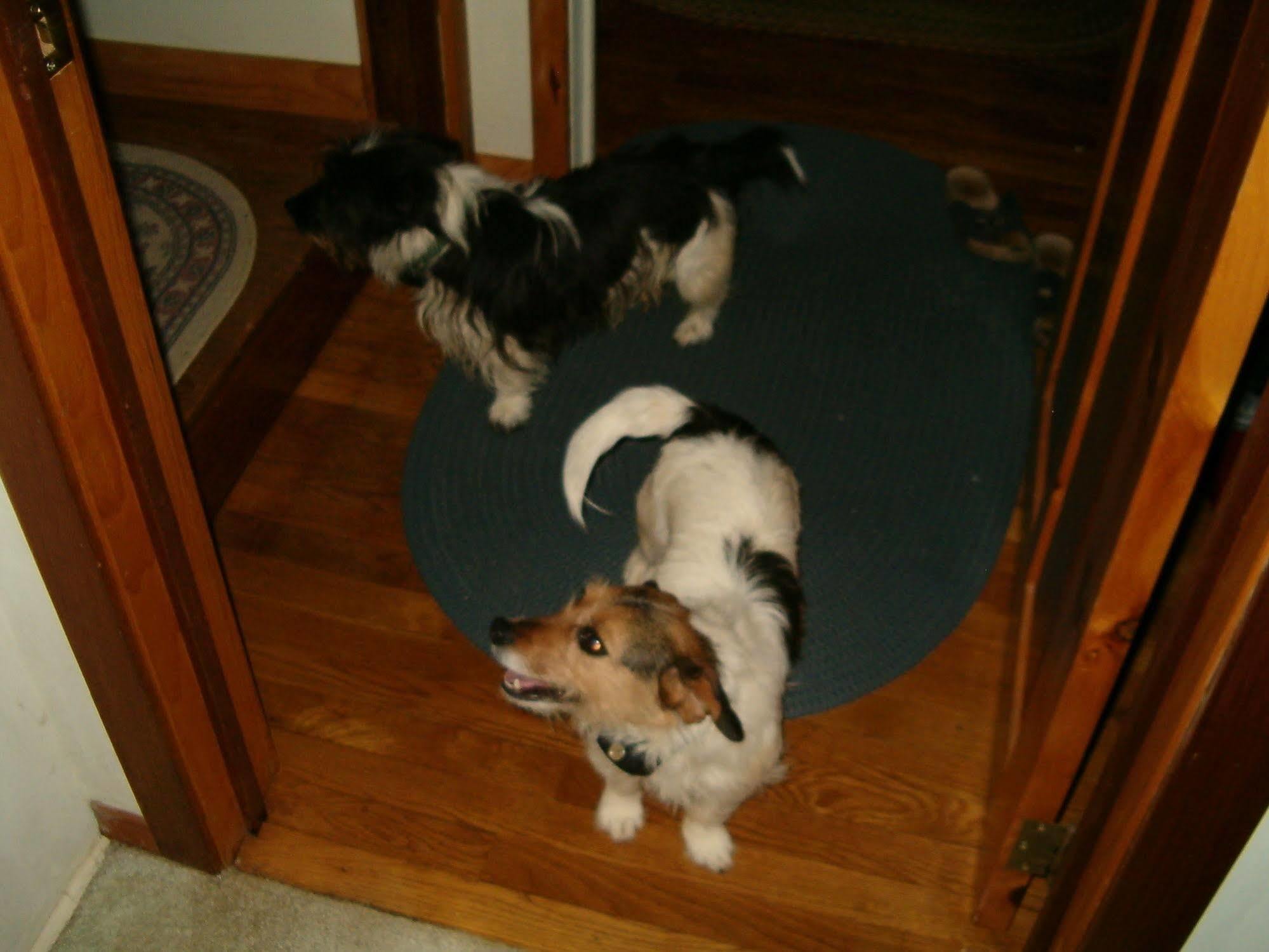 Ebenezer House Bed & Breakfast Burtonsville Esterno foto